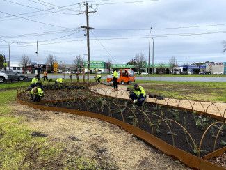 Princess Highway (Dandenong Park) - Preparation of site