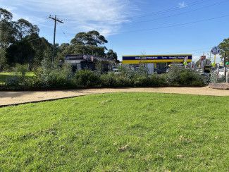 Princess Highway (Dandenong Park) - One year after planting