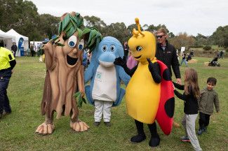 Discover Dandenong Creek Festival