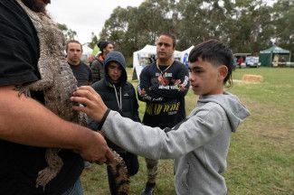 Reptile presentation