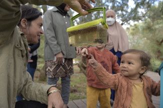 Nature playgroup activities