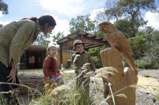 Nature playgroup activities