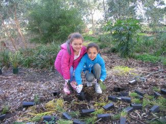 Children participating in a planting activity