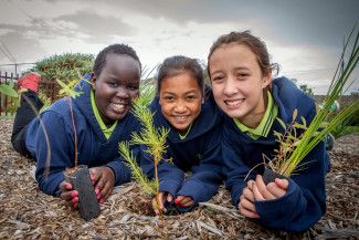 School children enjoying a planting activity