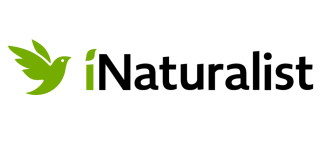 iNaturalist 