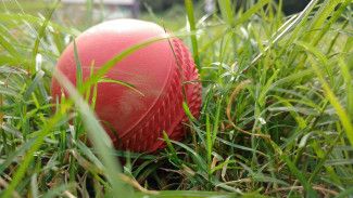 Cricket ball