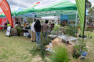 Plants stalls at the Sustainability Festival 2022