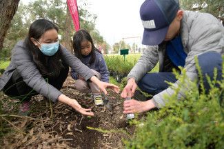 People planting at Alex Wilkie Nature Reserve Spring Thing