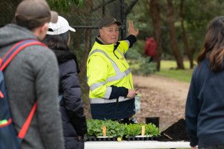 A plant stall at Alex Wilkie Nature Reserve Spring Thing