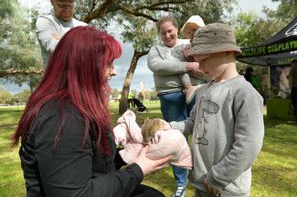 Wildlife presentation