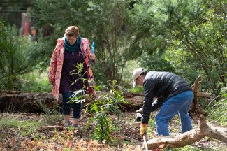 People planting at Alex Wilkie Nature Reserve Spring Thing