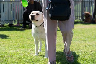 Keysborough's Big Picnic 2023