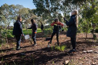 One Tree per Child launch at Somerfield Reserve - June 2023