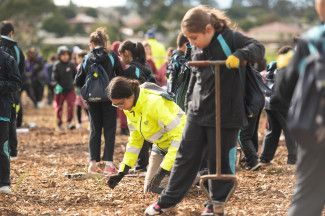One Tree Per Child National Tree Day for Schools 2023