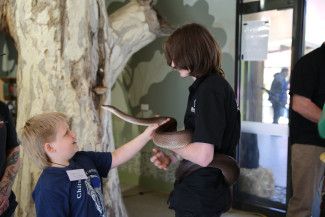 A reptile display at Alex Wilkie Nature Reserve Spring Thing 2023