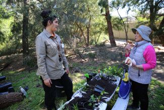 A plant giveaway activity at Alex Wilkie Nature Reserve 