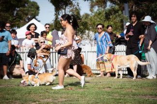 People with dogs