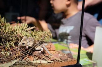 People enjoying the festival.