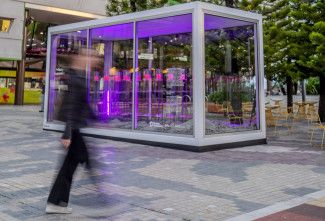 Primary Succession display in Harmony Square
