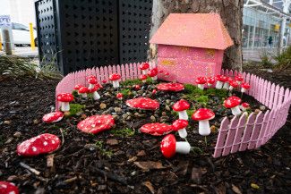 Fairy Garden Trail and Activities