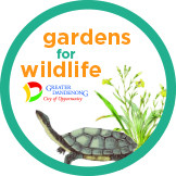 Gardens for wildlife greater Dandenong eastern long-necked turtle