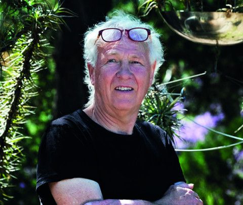 A man surrounded by trees