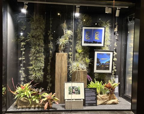 A display window with live plants