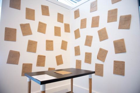 Alana Hunt, display view at SHE 2020