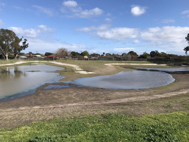 Frederick Wachter Wetlands