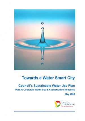 Towards a Water Safe City Cover