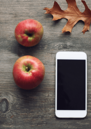 A tray with some apples and an iphone