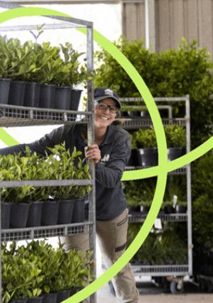 Lady moving plants on a trolley