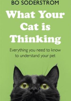 What Your Cat is Thinking by Bo Soderstrom 