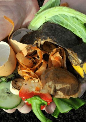 compost