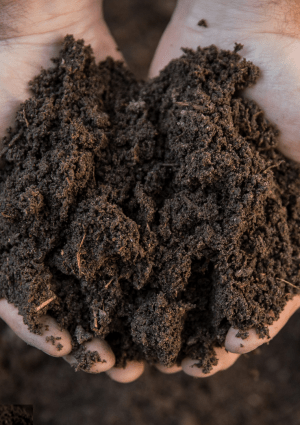 Soil