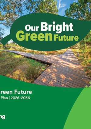Our Bright Green Future Strategy and Action Plan - May 2026