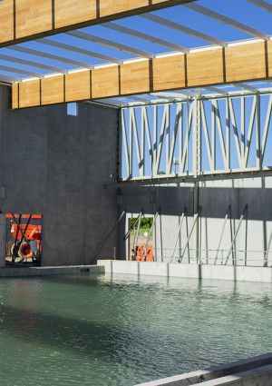 Oasis pool
