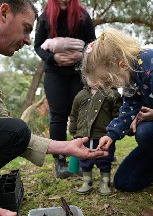 Children planting seedlings in the garden